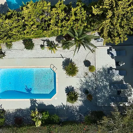 Eleon 코우클리아