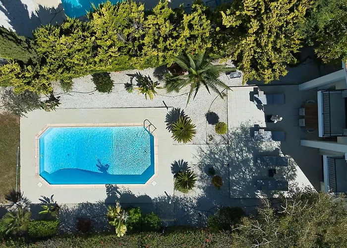 Eleon クークリア